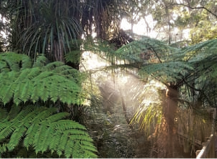 inner city walk inner city walk